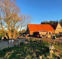Kleine Erdgeschosswohnung auf einem Pferdehof - Rosendahl