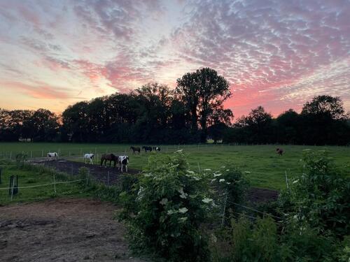 Foto - 2 Zimmer Erdgeschoßwohnung zur Miete in Rosendahl