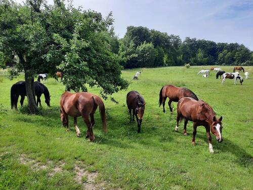 Foto - 2 Zimmer Erdgeschoßwohnung in Rosendahl