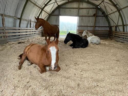 Foto - Erdgeschoßwohnung in Rosendahl zur Miete