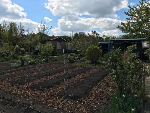 Foto - Grundst&uuml;ck in Halle (Saale)