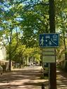 Foto - 4 Zimmer Reihenhaus in Michendorf
