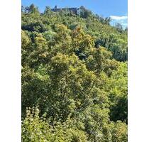 Ferienimmobilie zur Dauervermietung in Waldeck am Edersee