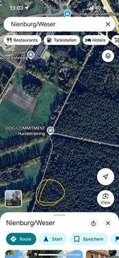 Foto - Waldgrundstück - 15,00 EUR Kaltmiete, ca.  0,00 m²