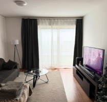 Moderne 2-Zimmer-Dachgeschosswohnung mit sonniger Dachterrasse – - Kelheim