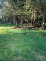 Foto - Pacht Grundstück Stelzenberg - 800,00 EUR Kaltmiete, ca.  0,00 m²