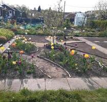 Kleingarten - 3.330,00&nbsp;EUR Kaltmiete, ca.&nbsp; 0,00&nbsp;m&sup2; in Dresden (PLZ: 01127) Neustadt