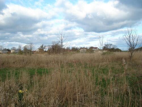 Foto - andere in Dranske
