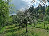 Foto - Einfamilienhaus in Durbach zum Kaufen