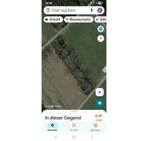 Flurgrundstueck, ausschl.mit Baumbestand - Mayen