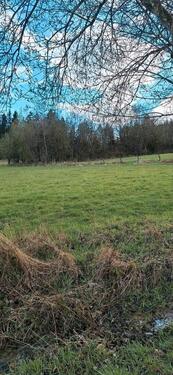 Foto - Grundst&uuml;ck in Mayen