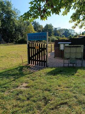 Foto - Pachtgarten mit großem Steinhaus, Gartenanlage 'Waldfrieden'