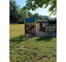 Pachtgarten mit großem Steinhaus, Gartenanlage Pachtgarten mit großem Steinhaus, Gartenanlage