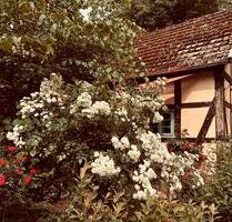 Idyllisches Ferienhaus Nähe Dümmer See | Auszeit | Sauna | Natur - Barnstorf