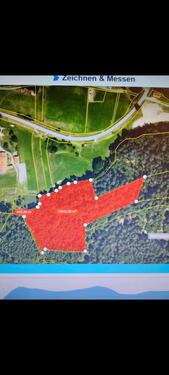 Foto - Wald, Waldgrundstück, Forst - 59.000,00 EUR Kaltmiete, ca.  0,00 m²