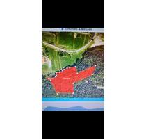 Wald, Waldgrundstück, Forst - 59.000,00 EUR Kaltmiete, ca.  0,00 m² in Saldenburg (PLZ: 94163)