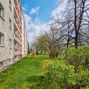 Foto - 3 Zimmer Erdgeschoßwohnung in Freiberg