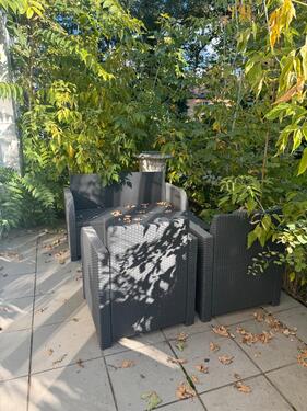 Foto - andere in Berlin zur Miete