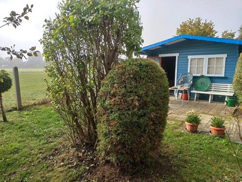 Foto - Grundstück in Schleiz zur Miete