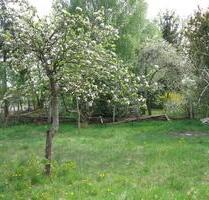 Gartengrundstück zu verpachten - 452,00&nbsp;EUR Kaltmiete, ca.&nbsp; 0,00&nbsp;m&sup2; in Märkisch Linden (PLZ: 16818)