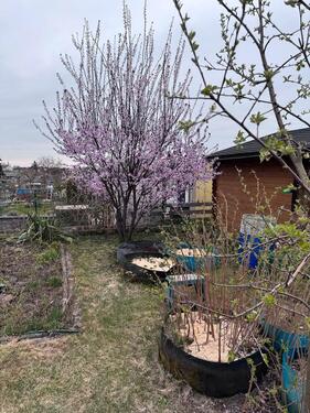 Foto - Grundst&uuml;ck zur Miete in Luckenwalde