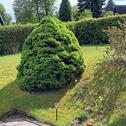 Foto - Einfamilienhaus in Bad Wünnenberg zum Kaufen
