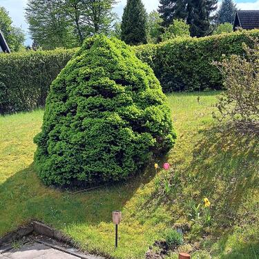 Foto - Einfamilienhaus in Bad Wünnenberg zum Kaufen