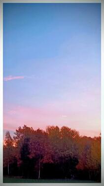 Foto - Ein ZIMMER zu Vermieten KEINE!!! Wohnung!