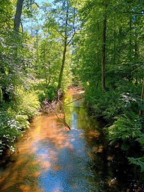 Foto - 1 Zimmer Etagenwohnung zur Miete in Uetersen