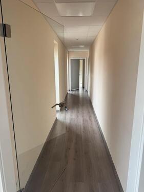 Foto - andere in Wörrstadt