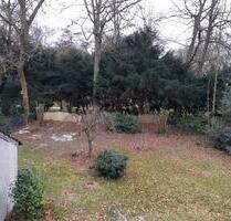 Großzügige Wohnung direkt am Stadtgarten in Bochum-Wattenscheid