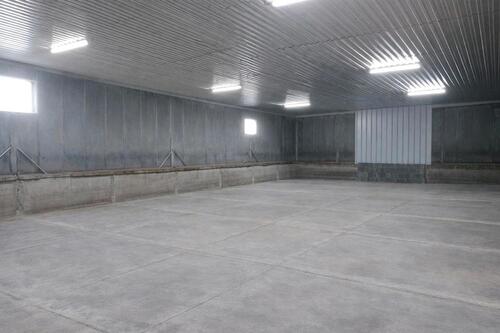 Foto - andere in Börnsen