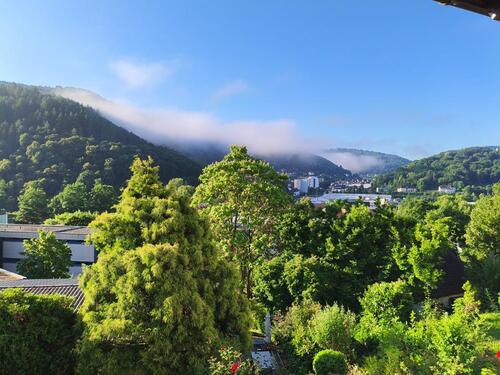 Foto - Einfamilienhaus mit separater Wohnung