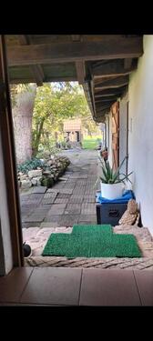 Foto - andere in Mühlheim am Main