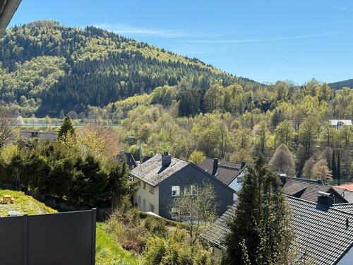 Foto - Erdgeschoßwohnung in Winterberg zur Miete