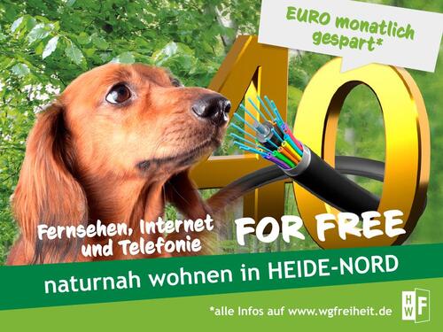 Foto - ... und die Heide in der Nähe - 423,00&nbsp;EUR Kaltmiete, ca.&nbsp; 70,37&nbsp;m&sup2;