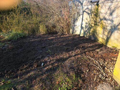 Foto - 1 Zimmer Erdgeschoßwohnung in Ostrhauderfehn