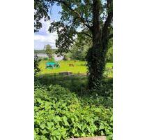 1 Raum Wohnung - 490,00&nbsp;EUR Kaltmiete, ca.&nbsp; 30,00&nbsp;m&sup2; in Storkow (Mark) (PLZ: 15859)