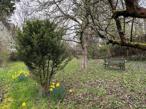 Foto - Grundst&uuml;ck in Stuttgart zur Miete