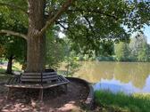 Foto - 4 W im ruhigen Teil Neuplanitz´s!