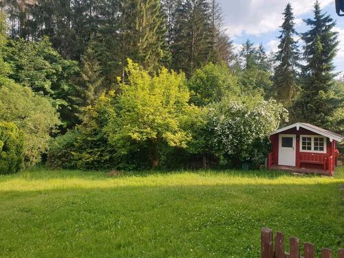 Foto - 4 Zimmer Etagenwohnung zur Miete in Wilhelmsthal