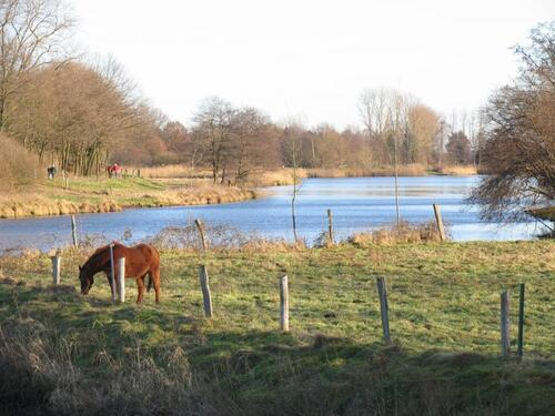 Foto - 2 Zimmer Dachgeschoßwohnung zur Miete in Bardowick