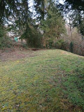 Foto - Garten zu verpachten mıt kleıne hütte ın Asperg