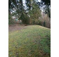 Garten zu verpachten mıt kleıne hütte ın Asperg - Tamm