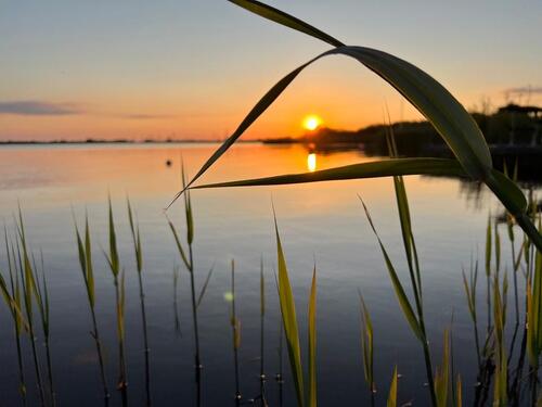Foto - Ferienhaus, Meerbude HieveKleines Meer, Ostfriesland