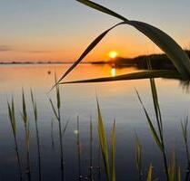 Ferienhaus, Meerbude HieveKleines Meer, Ostfriesland - Südbrookmerland