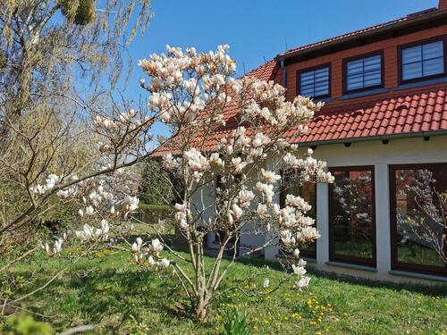 Foto - Möbliertes Haus b. Berlin auf Zeit, 6 Zi, 8 Pers, Wifi, Wallbox