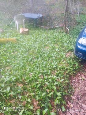 Foto - Grundst&uuml;ck zur Miete in Plochingen