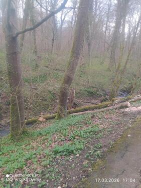 Foto - Grundst&uuml;ck in Plochingen