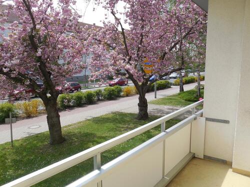 Foto - In wenigen Schritten in Ihrer neuen Wohnung - EG rechts